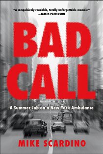 Book cover: Bad Call, by Mike Scardino (preview)