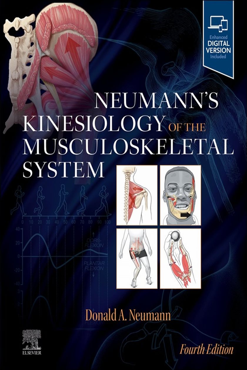 Neumann's Kinesiology of the Musculoskeletal System - E-Book