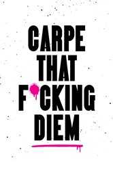 Book cover: Carpe That F*cking Diem, by Summersdale Publishers (preview)