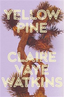 Book cover: Yellow Pine, by Claire Vaye Watkins (preview)