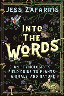 Book cover: Into the Words, by Jess Zafarris (preview)