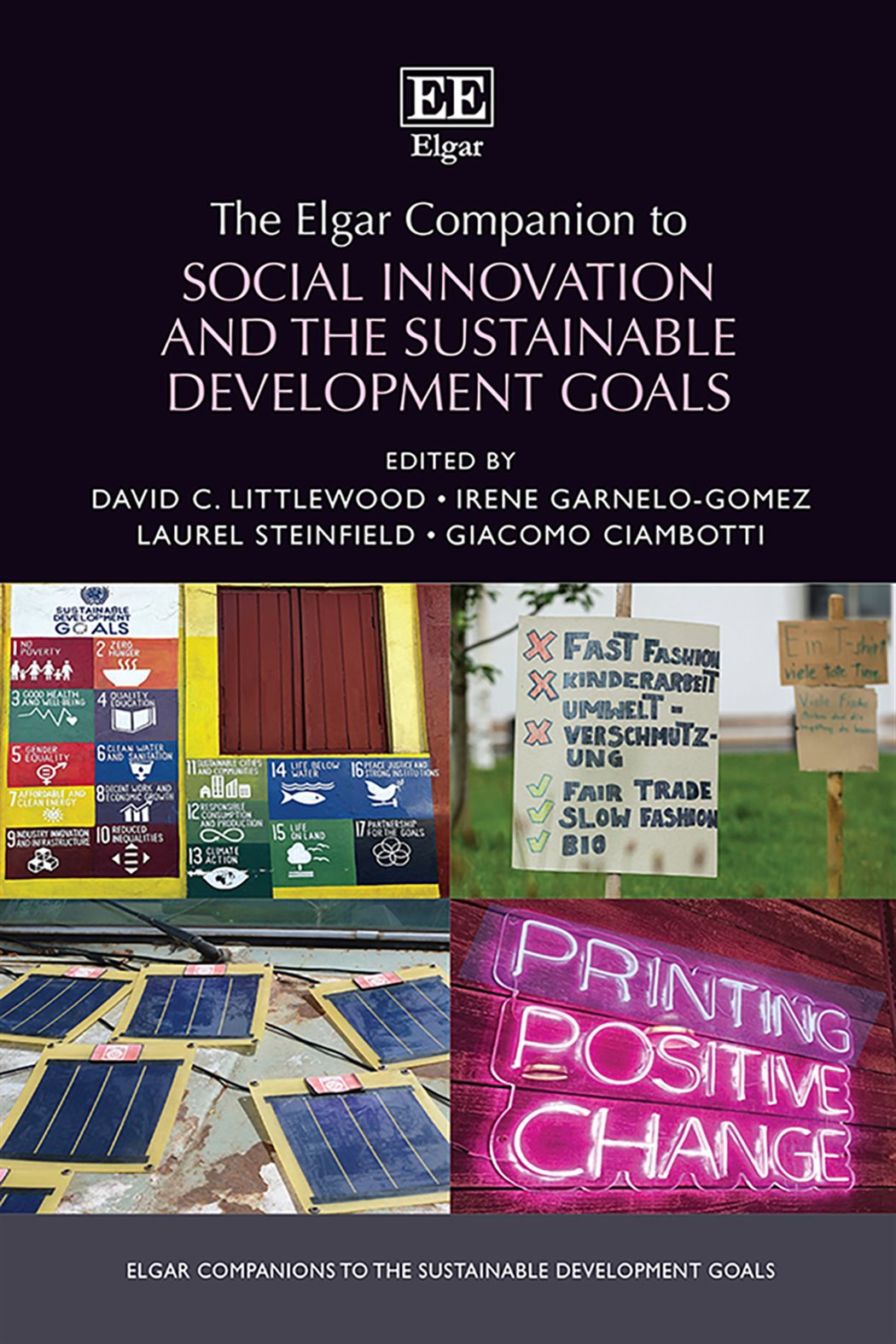 The Elgar Companion to Social Innovation and the Sustainable ...