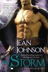 Book cover: The Storm (Book 6 of Sons of Destiny) by Jean Johnson (preview)