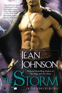 Book cover: The Storm (Book 6 of Sons of Destiny) by Jean Johnson (preview)