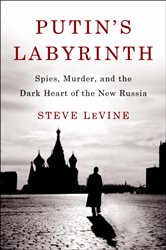 Book cover: Putin's Labyrinth, by Steve LeVine (preview)