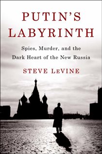 Book cover: Putin's Labyrinth, by Steve LeVine (preview)