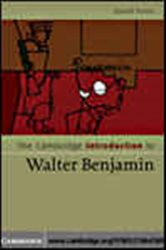 Book cover: The Cambridge Introduction to Walter Benjamin, by David S. Ferris (preview)