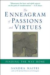 Book cover: The Enneagram of Passions and Virtues, by Sandra Maitri (preview)