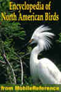 Book cover: The Illustrated Encyclopedia Of North American Birds, by MobileReference (preview)