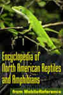 Book cover: Encyclopedia of North American Reptiles and Amphibians, by MobileReference (preview)