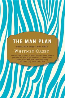 Book cover: The Man Plan, by Whitney Casey (preview)