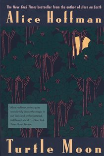 Book cover: Turtle Moon, by Alice Hoffman (preview)