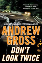Book cover: Don't Look Twice (Book 2 of Ty Hauck Series) by Andrew Gross (preview)