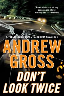 Book cover: Don't Look Twice (Book 2 of Ty Hauck Series) by Andrew Gross (preview)