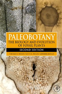 Book cover: Paleobotany, by Edith L. Taylor (preview)