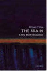 Book cover: The Brain, by Michael O'Shea (preview)