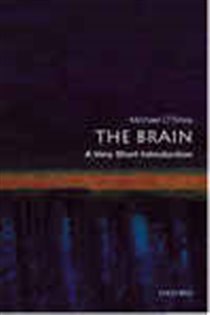 Book cover: The Brain, by Michael O'Shea (preview)
