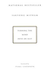 Book cover: Turning the Mind Into an Ally, by Sakyong Mipham (preview)