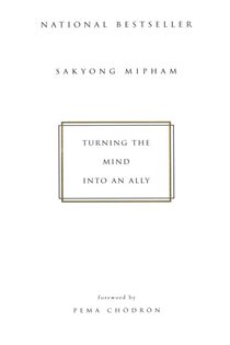 Book cover: Turning the Mind Into an Ally, by Sakyong Mipham (preview)