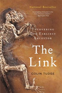 Book cover: The Link, by Josh Young (preview)