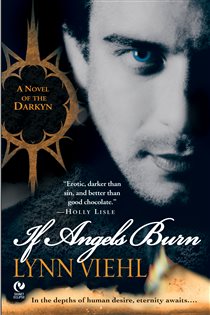 Book cover: If Angels Burn (Book 1 of Novel Of The Darkyn) by Lynn Viehl (preview)