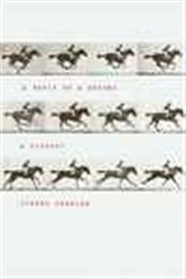 Book cover: A Tenth of a Second, by Jimena Canales (preview)