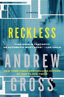 Book cover: Reckless (Book 3 of Ty Hauck Series) by Andrew Gross (preview)