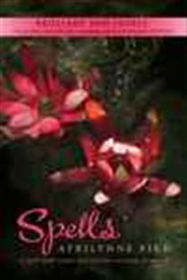 Book cover: Spells (Book 2 of Wings) by Aprilynne Pike (preview)
