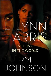 Book cover: No One in the World, by E. Lynn Harris (preview)