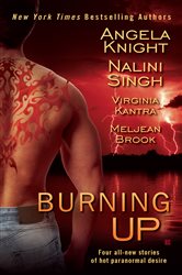 Book cover: Burning Up, by Angela Knight (preview)