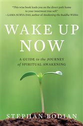 Book cover: Wake Up Now, by Stephan Bodian (preview)
