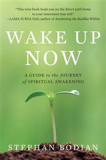 Book cover: Wake Up Now, by Stephan Bodian (preview)