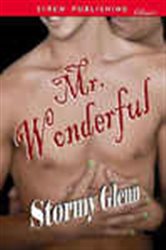 Book cover: Mr. Wonderful, by Stormy Glenn (preview)