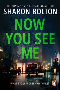 Book cover: Now You See Me, by Sharon Bolton (preview)