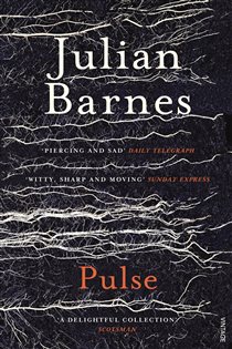 Book cover: Pulse, by Julian Barnes (preview)