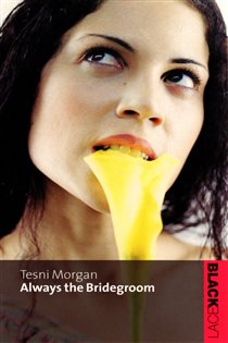 Book cover: Always The Bridegroom, by Tesni Morgan (preview)