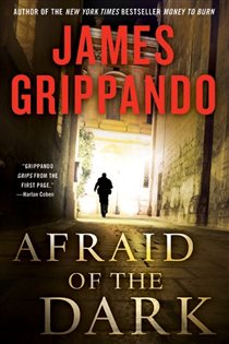 Book cover: Afraid of the Dark (Book 9 of Jack Swyteck Novel) by James Grippando (preview)