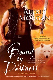 Book cover: Bound by Darkness, by Alexis Morgan (preview)