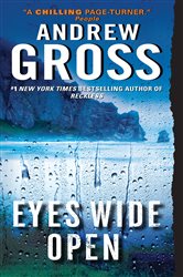 Book cover: Eyes Wide Open, by Andrew Gross (preview)
