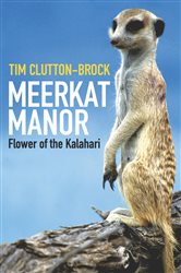 Book cover: Meerkat Manor, by Tim Clutton-Brock (preview)