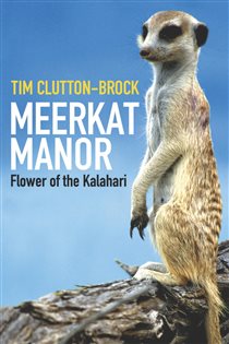 Book cover: Meerkat Manor, by Tim Clutton-Brock (preview)