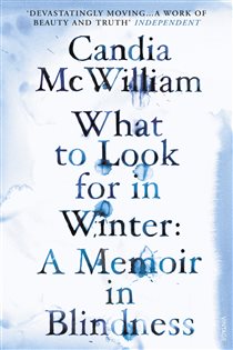 Book cover: What to Look for in Winter, by Candia McWilliam (preview)