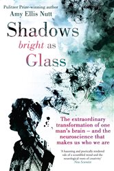 Book cover: Shadows Bright As Glass, by Amy Ellis Nutt (preview)