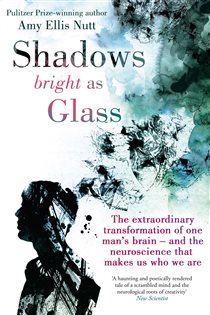 Book cover: Shadows Bright As Glass, by Amy Ellis Nutt (preview)