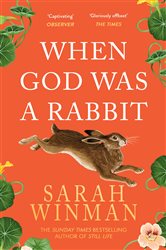 Book cover: When God was a Rabbit, by Sarah Winman (preview)