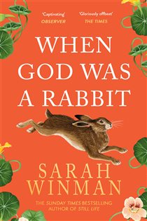 Book cover: When God was a Rabbit, by Sarah Winman (preview)