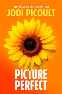 Book cover: Picture Perfect, by Jodi Picoult (preview)