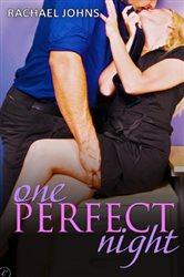 Book cover: One Perfect Night, by Rachael Johns (preview)
