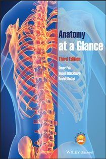 Book cover: Anatomy at a Glance, by Omar Faiz (preview)