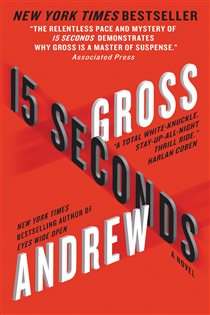 Book cover: 15 Seconds, by Andrew Gross (preview)